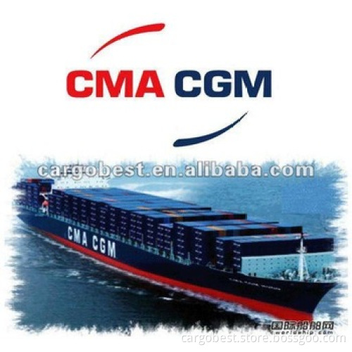 ocean freight forwarder agency from shenzhen to port elizabeth South Africa -DIANA